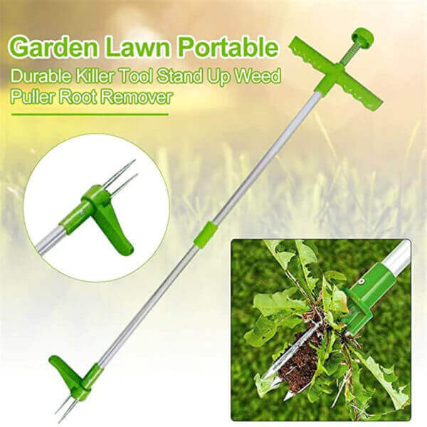 STANDING WEEDER AND WEED PULLER