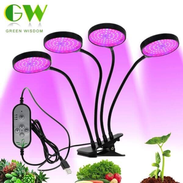 TIMER PHYTO PLANTS LAMP
