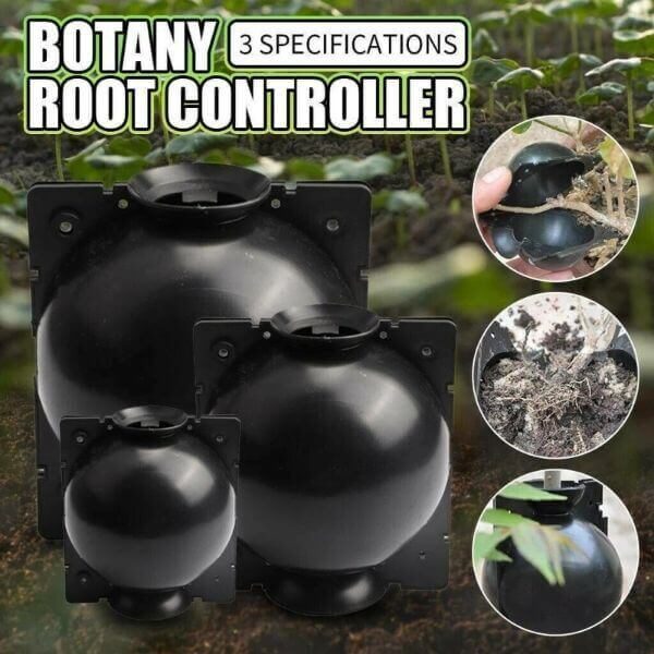 PLANT ROOT GROWING BOX