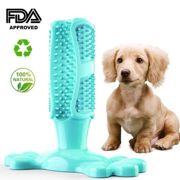DOG CHEW TOYS TOOTHBRUSH