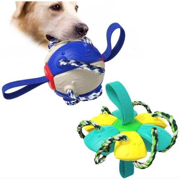 INTERACTIVE FOOTBALL BITE RESISTANT DOG TOY