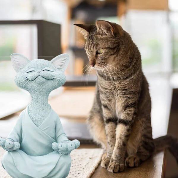 HAPPY BUDDHA CAT