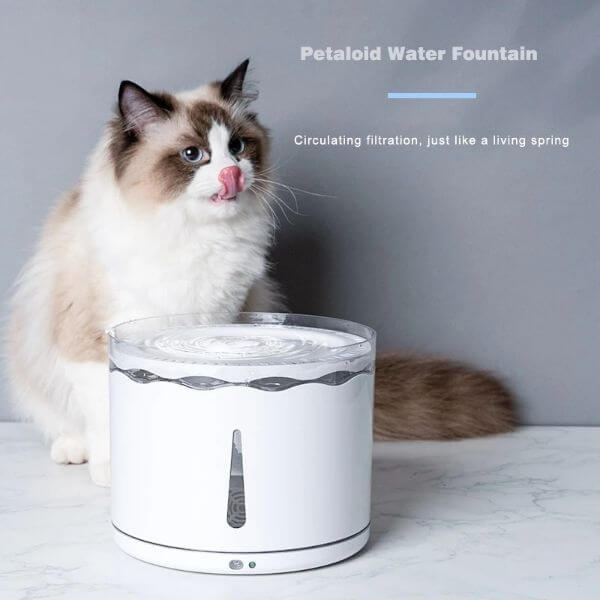 AUTOMATIC PET WATER FOUNTAIN
