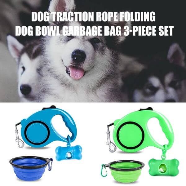 ALL IN ONE LEASH