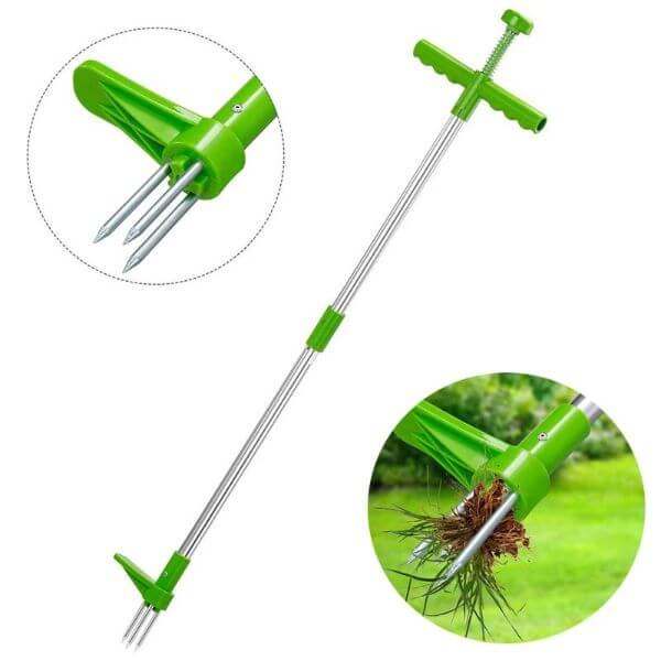 STANDING PLANT ROOT REMOVER