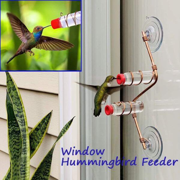 GEOMERTRIC WINDOW HUMMINGBIRD FEEDER
