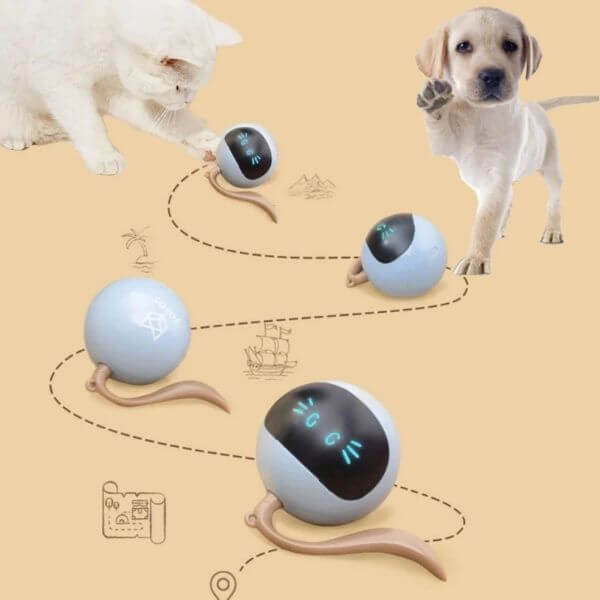 INTERACTIVE PET BALL TOY