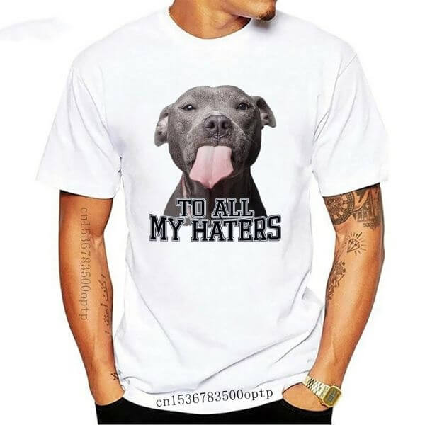 PITBULL TO ALL MY HATERS SHIRT