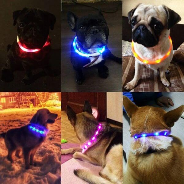 RECHARGEABLE PET LED LIGHT COLLAR