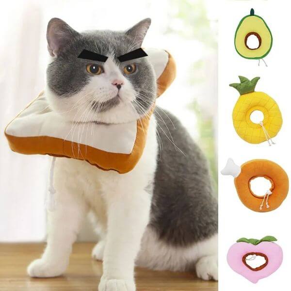 ADJUSTABLE PROTECTIVE NECK FOR CATS