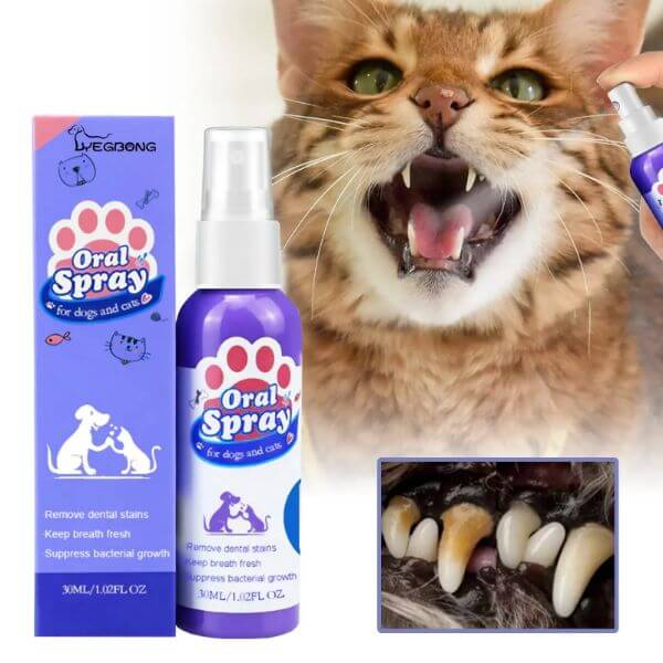 PET ORAL CLEANING FRESHENER SPRAY