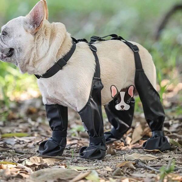ADJUSTABLE CONNECTED DOG BOOTS