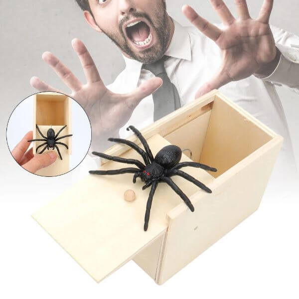 SPIDER PRANK BOX