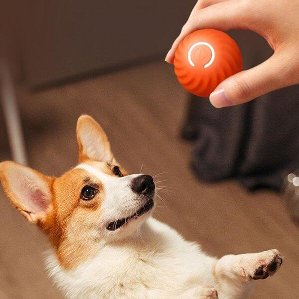 ACTIVE ROLLING BALL ANTI-ANXIETY INTERACTIVE TOY