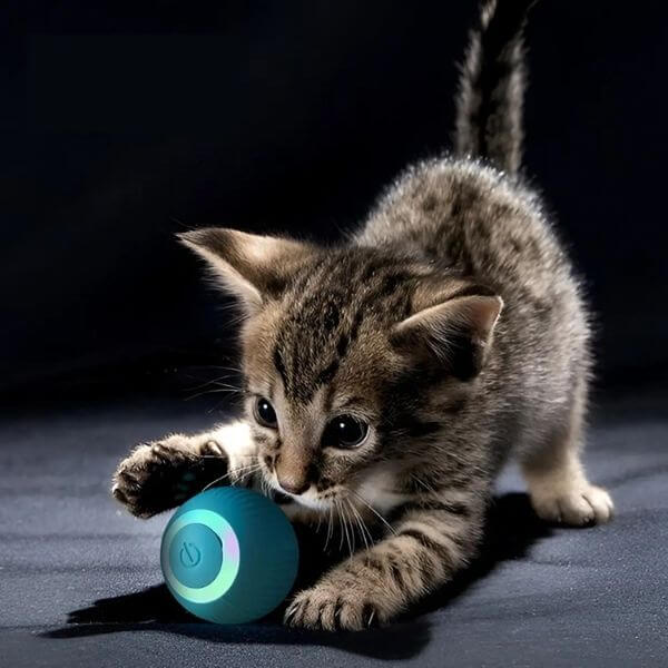 ELECTRIC CAT BALL TOY