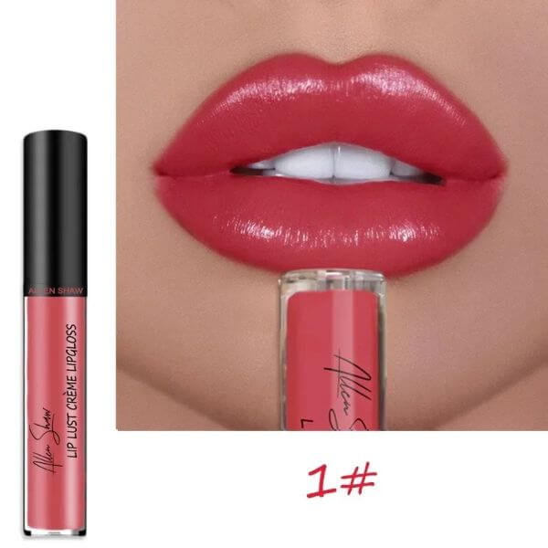 12 COLORS LIP GLOSS