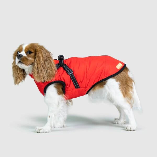 3 IN 1 DOG JACKET