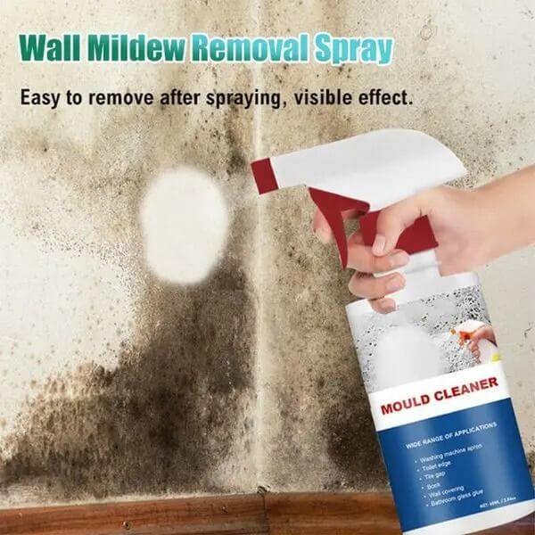 WALL MILDEW REMOVAL SPRAY