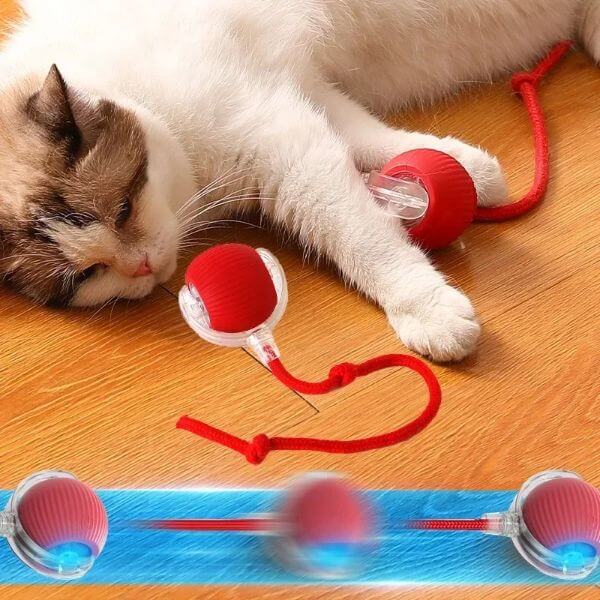 PET INTERACTIVE ROLLING BALL