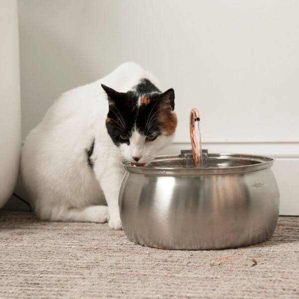 STAINLESS STEEL CAT DRINKING FOUNTAIN