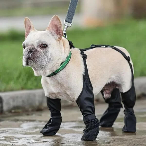 WATERPROOF ADJUSTABLE DOG BOOTS