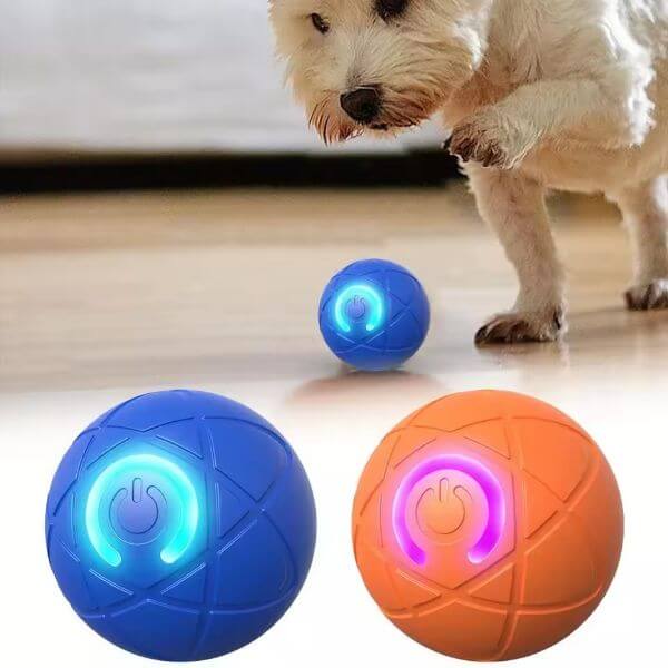 PET BOUNCE BALL